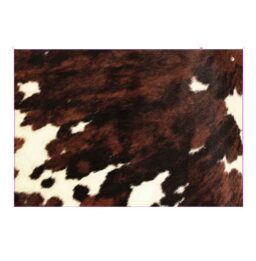 Set de table rectangulaire Abondance - 35x50cm