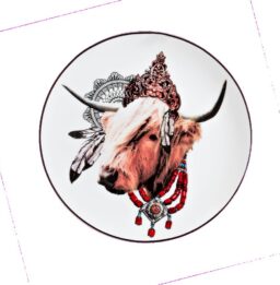 lot de 4 assiettes dessert Apache - diam 21cm