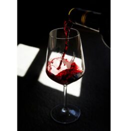 Verre à vin BRAME - motif tête de cerf appliqué